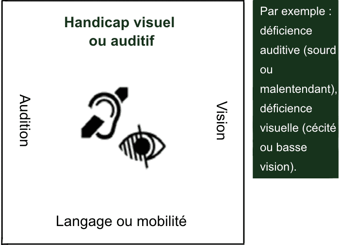 handicap_visuel_auditif_FR