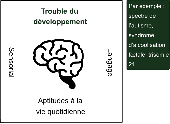 trouble_du_développement_FR
